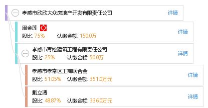 孝感市欣欣大眾房地產開發有限責任公司 工商信息、信用狀況與行業動態全方位解析